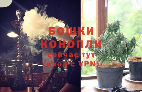 ECSTASY Кинешма