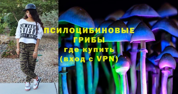 ECSTASY Кинешма